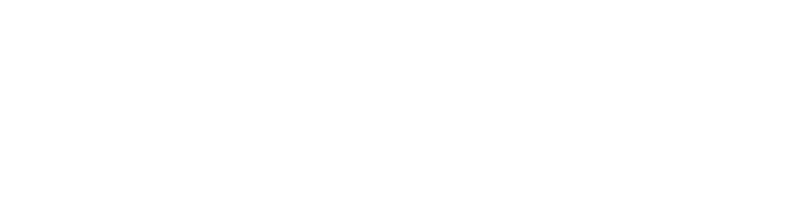 Asao Customs Logo